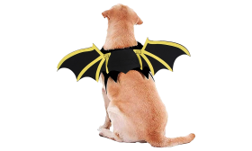 Dog Bat Wing Costume for Halloween Dog Bat Wing Costume for Halloween