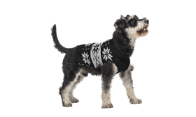 Printed Winter Sweater for Dogs Black winter sweater for dogs with white snowflake pattern, washable, acylic fibers for optimal comfort.