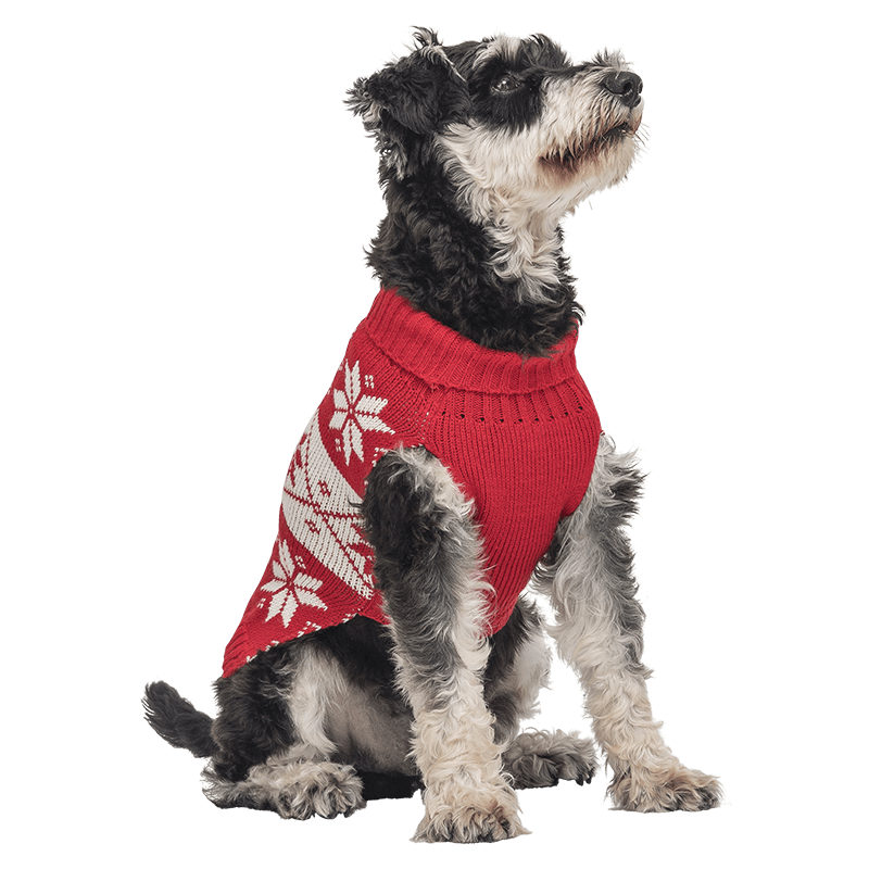 Printed Winter Sweater for Dogs Red winter sweater for dogs with white snowflake pattern, washable, providing warmth and festive style.