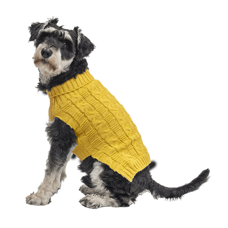 Warm Cotton Sweater for Dogs Yellow warm cotton sweater for dogs with cable-knit pattern, extra protection, keep dogs cosy in cold weather.