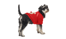 Red buttoned Christmas coat for dogs with a fluffy bear design on the back, washable, warm and stylish