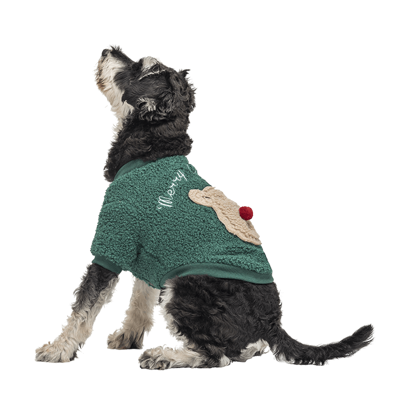 Buttoned Christmas Coat for Dogs Green buttoned Christmas coat for dogs with a fluffy bear design on the back, washable, for winter and autumn.