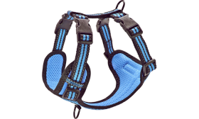 Stylish blue breathable nylon dog harness with adjustable straps, perfect fit with quick-release buckles.