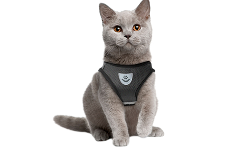 Black reflective cat harness vest with a matching leash, practical, includes breathable mesh fabric and a 120cm long leash.