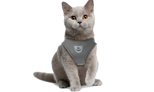 Grey reflective cat harness vest with a matching leash, practical, includes breathable mesh fabric and a 120 cm long leash.