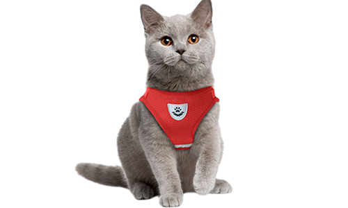 Red reflective cat harness vest with a matching leash, practical, includes breathable mesh fabric and a 120 cm long leash.