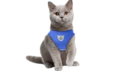 Blue reflective cat harness vest with a matching leash, practical, includes breathable mesh fabric and a 120 cm long leash.