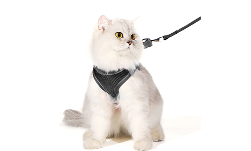 Black reflective cat harness vest with a matching leash, adjustable and lighweight, 140cm leash, for comfort and visibility.