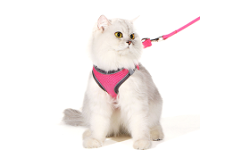 Pink reflective cat harness vest with a matching leash, adjustable and lighweight, 140cm leash, high-quality nylon.