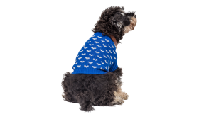 Printed Heart Sweater for Dogs Dog wearing a cosy blue sweater with white heart patterns, perfect for on-the-go adventures.
