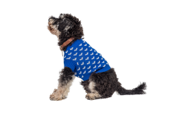 Printed Heart Sweater for Dogs Dog wearing a cosy blue sweater with white heart patterns, perfect for warmth and style during colder seasons.