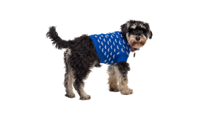 Printed Heart Sweater for Dogs Dog wearing a cosy blue sweater with white heart patterns, machine and hand washable for eacy maintenance.