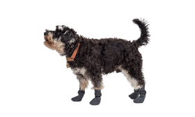 Sport Dog Shoe Socks Set of four sport dog shoe socks in grey with non-slip soles, lightweight for dogs comfort, easy to clean material.