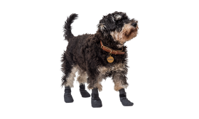 Sport Dog Shoe Socks Set of four sport dog shoe socks in grey with non-slip soles, lightweight for dogs comfort, anti-skid rubber.