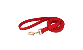 Red dog harness kit with matching collar and leash, lightweight, with gold metal buckle, adjustable for comfortable fit.