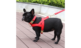Red dog harness kit with matching collar and leash, lightweight, durable and long-lasting, stylish and coordinated look