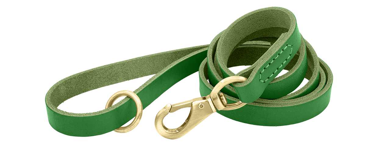 Luxury Genuine Leather Dog Leash Green luxury genuine leather dog leash, 150 cm in length and comfortable, with gold metal clasp and ring for durability.