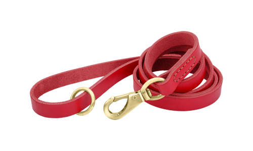 Red luxury genuine leather dog leash, 150 cm in length and comfortable, with gold metal clasp and ring for durability.