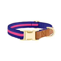Blue dog collar with adjustable gold metal buckle, 27-40cm in length and 1.5cm wide, with D-ring for leash attachment.
