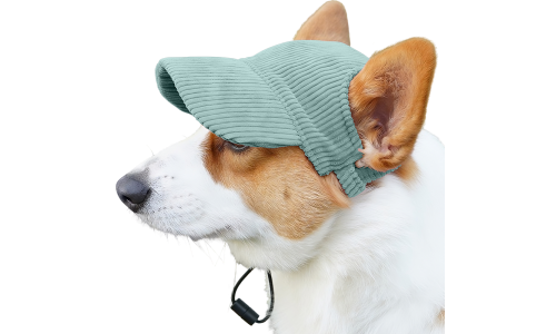 Corgi wearing a breathable green ribbed dog sports hat, lightweight, to protect from the sun during summer outings.