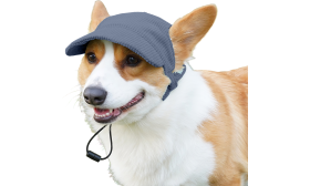 Corgi wearing a breathable blue ribbed dog sports hat, fashionable, soft, lightweight canvas material for comfort.