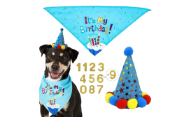 Blue dog birthday celebration set featuring a colourful 'It's My Birthday!' bandana, lightweight for dogs comfort.