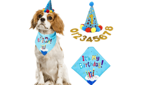 Blue dog birthday celebration set featuring a colourful 'It's My Birthday!' bandana, soft and durable.