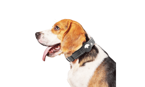 Black reflective dog collar with Airtag holder, adjustable, lightweight nylon, fully sealed protection and durability.