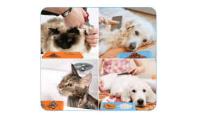 Non-Toxic Dog Lick Mat with Spatula