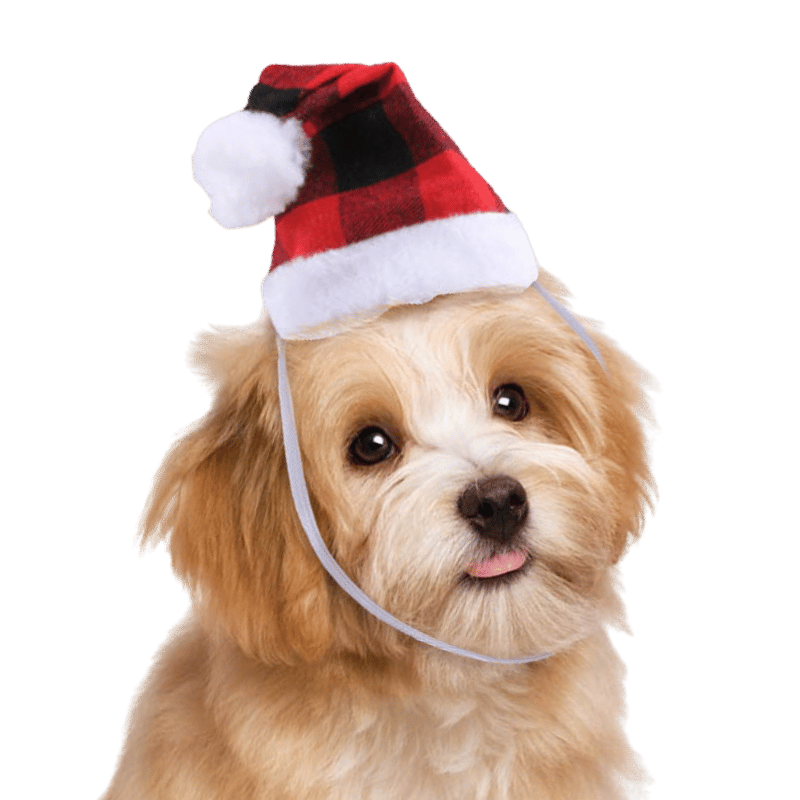 Christmas Santa Hat for Dogs and Cats