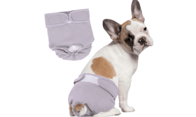 Premium Washable Dog Diaper for Female Dogs