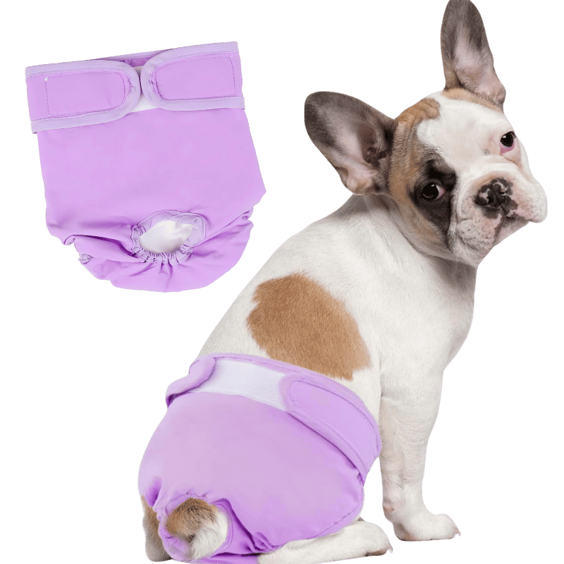 Premium Washable Dog Diaper for Female Dogs