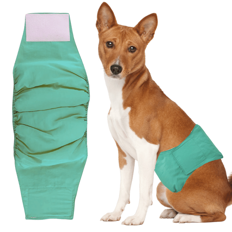 Premium Washable Dog Diaper for Male Dogs