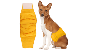 Premium Washable Dog Diaper for Male Dogs Premium Washable Dog Diaper for Male Dogs