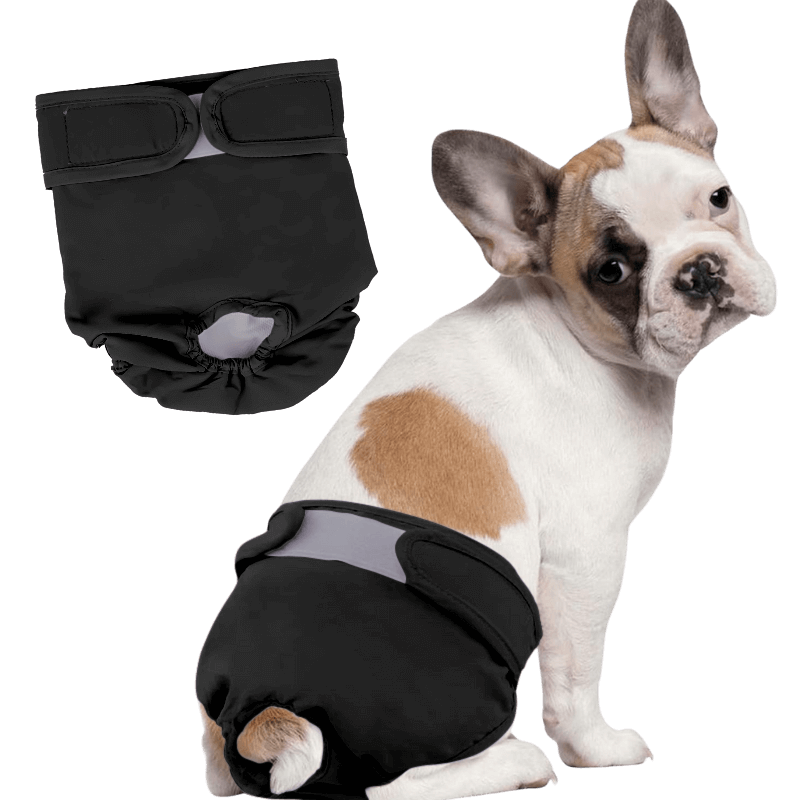 Premium Washable Dog Diaper for Female Dogs