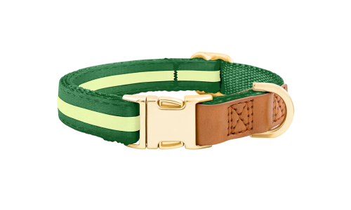 Green dog collar with gold metal buckle for dog name engraving, 27-40cm in length and 1.5cm wide, with D-ring for attachment.