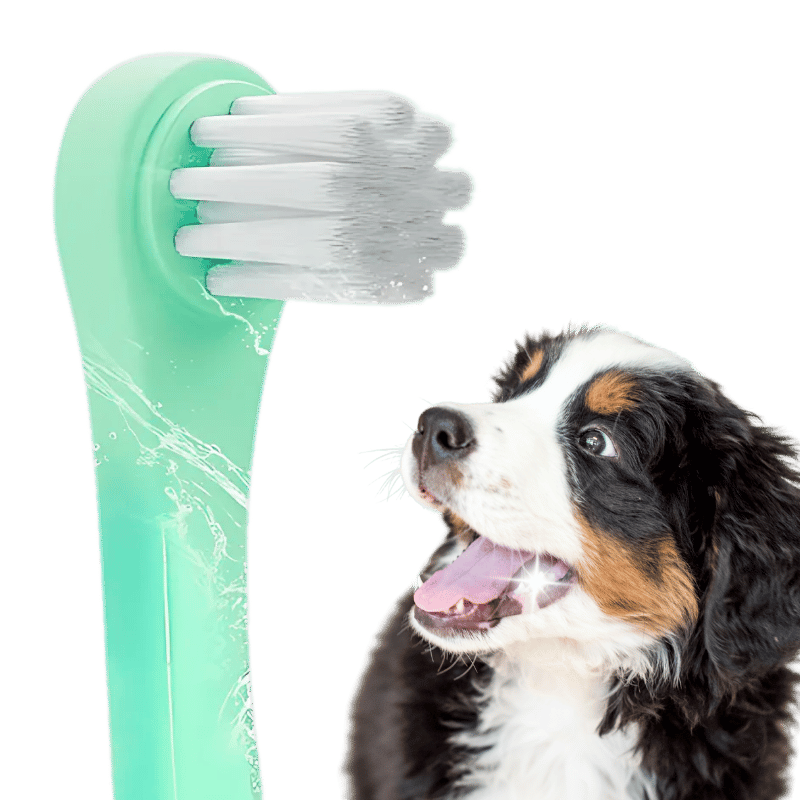 Gentle Clean Dental Toothbrush for Dogs and Cats with Soft Nylon Bristles