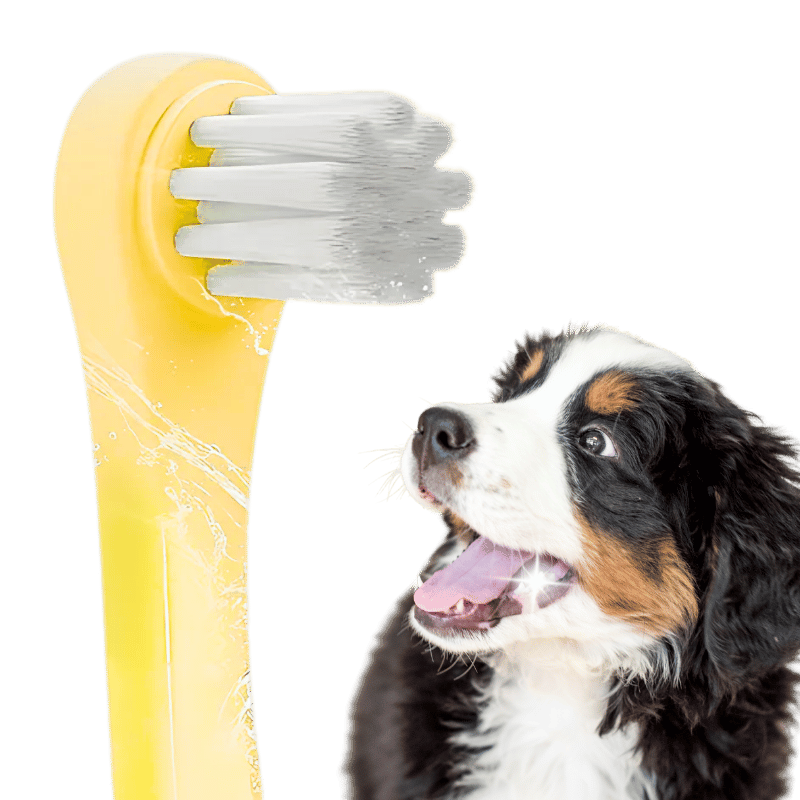 Gentle Clean Dental Toothbrush for Dogs and Cats with Soft Nylon Bristles