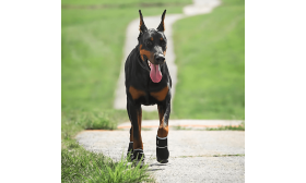 360° Reflective Safety Dog Shoes - Waterproof & Anti-Slip Paw Protection Dog Boot 360° Reflective Safety Dog Shoes - Waterproof & Anti-Slip Paw Protection Dog Boot