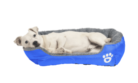 Soft Dog Bed