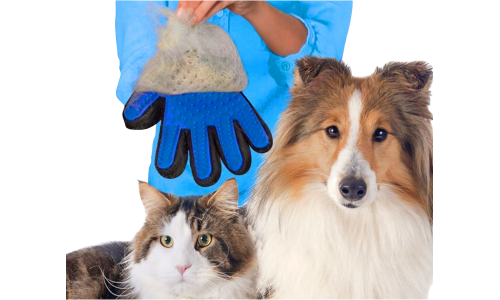 Person holding the blue grooming glove next to a dog and cat, showing the glove's use for pet grooming.