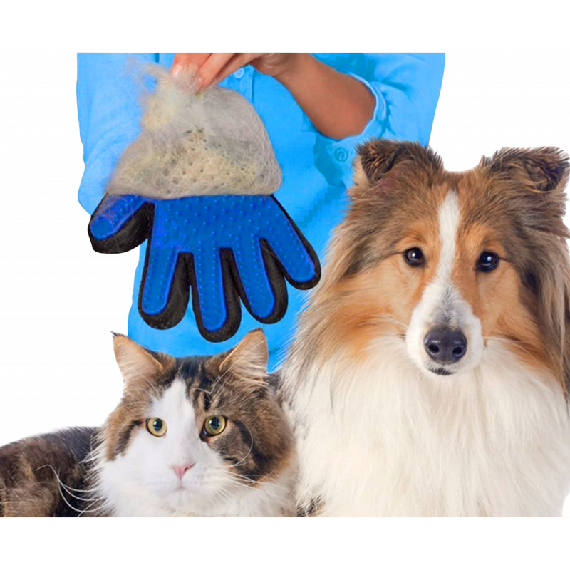 Pet Grooming Glove Mydogtags.sg
