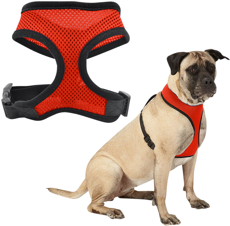 Dog harness Red mesh dog harness, lightweight, designed for comfort, with adjustable black straps and durable clip.