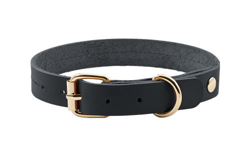 High-end Genuine Leather Dog Collar High-end genuine leather dog collar in tan black, 27-34cm length and 2.2cm width, with gold buckle and D-ring for durability.